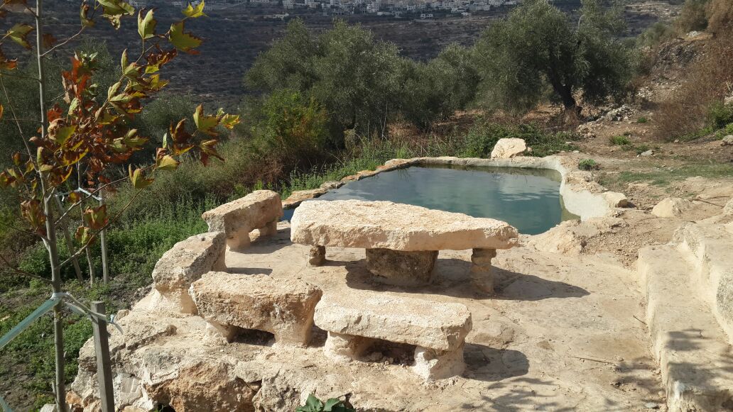 aner spring