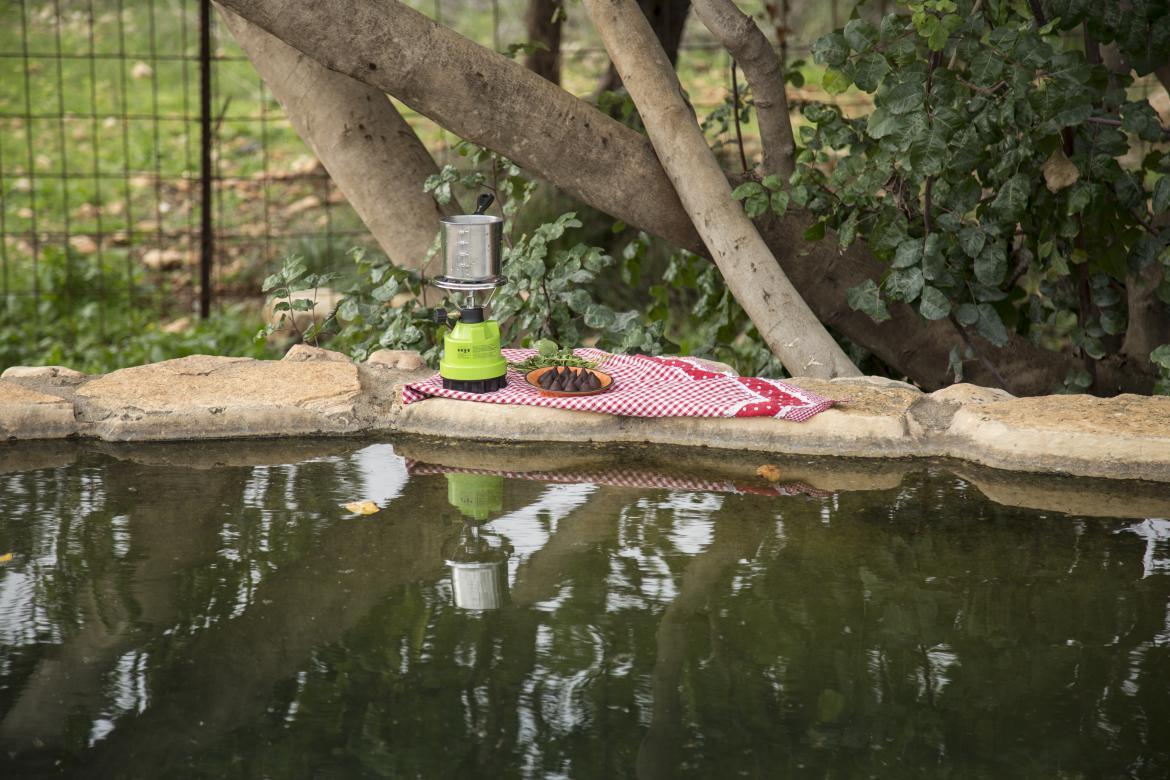 dolev spring