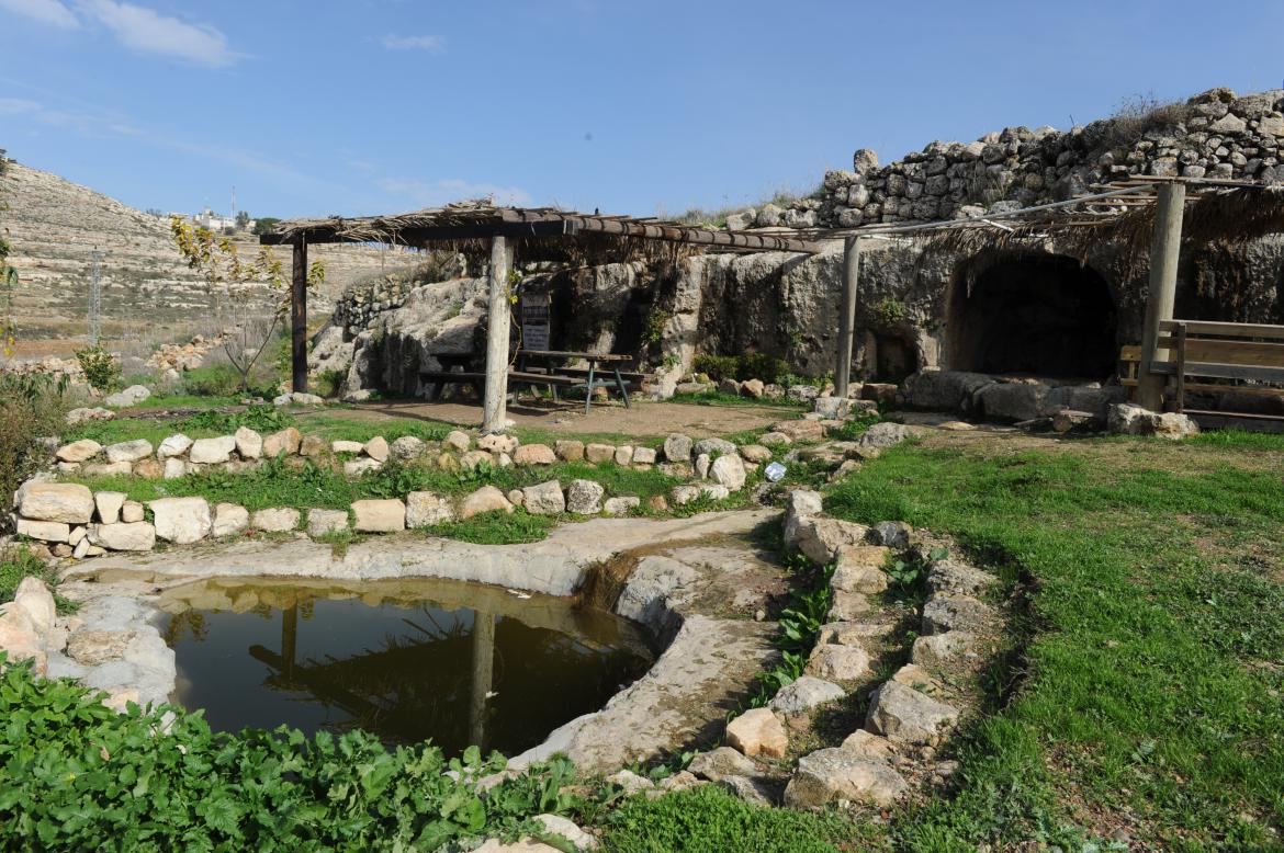 meir spring photography shahar cohen