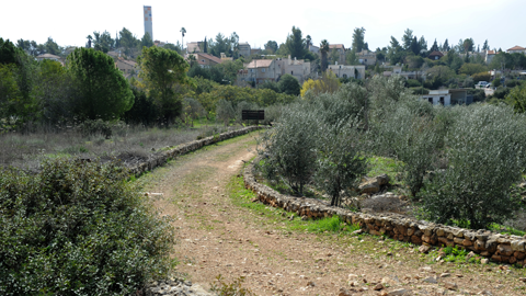 Neve Tzuf