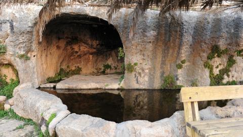 Meir spring.jpg