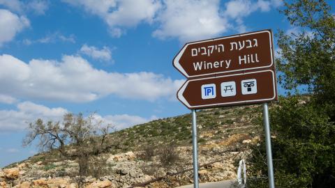 Winery hill.jpg