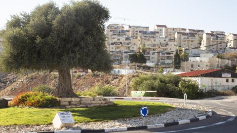 Tel Zion