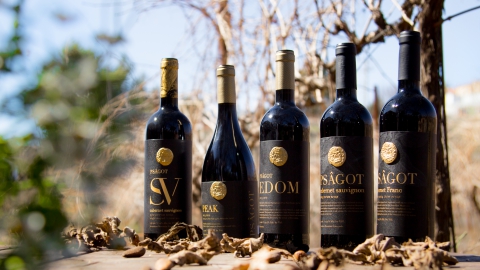 Psagot Winery (39 of 101).jpg